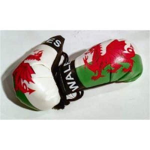 WALES CAR MIRROR BOXING GLOVES