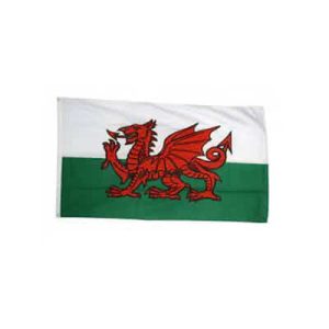 WALES Large Flag 3' x 5'