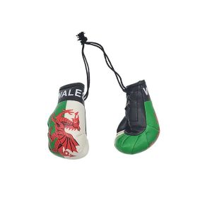 WALES Car Mirror Boxing Gloves